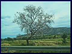 Benidorm outskirts 16