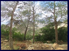 Cuevas de Canelobre 19 - upper half of the caves