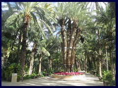 Huerto del Cura 09 - The Imperial Palm Tree, the main reason for the popularity of the Huerto. Dedicated to Empress Elisabeth of Austria in 1894.