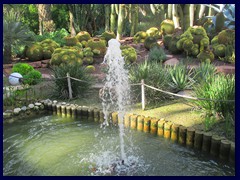 Huerto del Cura 40 - turtle pond and fountain