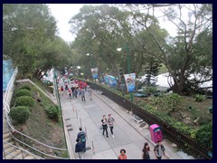 Ocean Park 089