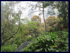 Hong Kong Park 35.JPG