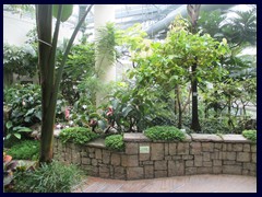 Hong Kong Park 47.JPG