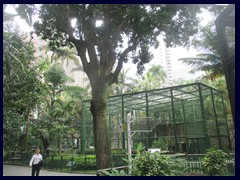 Hong Kong Zoological and Botanical Garden 15.JPG