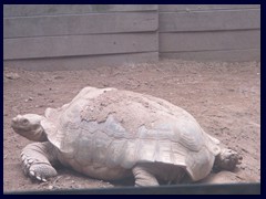 Hong Kong Zoological and Botanical Garden 16.JPG