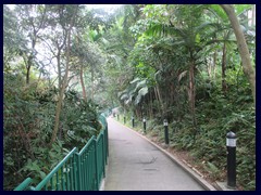 Hong Kong Zoological and Botanical Garden 30.JPG