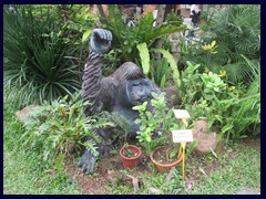 Hong Kong Zoological and Botanical Garden 38.JPG