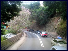 Stubbs Rd and Bowen Rd, the roads to South Hong Kong Island where you find exotic places like Repulse Bay, Stanley, Aberdeen and Deepwater Bay. The double decker takes you through a very scenic and sometimes shaky ride through green mountains with narrow winding roads, steeping towards the sea. Take bus 6x and choose a seat on the second floor, in the front if possible. Here you will find Hong Kong's richest residents, luxury apatment buildings, mansions and nice beaches. Stanley is more down to Earth thought.The south side is popular because it is less humid and much sunnier then the North side.