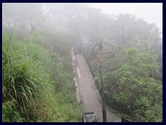 The trails of Victoria Peak