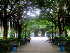 Alameda Dr. Carlos D'Assumpcao is an avenue that passes through the CBD, near the new casinos. It is surrounded by tall modern office buildings and there is a nice park in the middle.