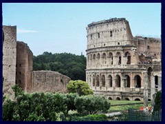 Colosseum seen from Forum Romanum