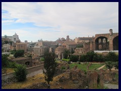 Forum Romanum (Foro Romano in Italian, Roman forum in English) is a rectangular plaza (forum) surrounded by ruins of what was the center of ancient Rome. Part of it is situated on the Palatine Hill. It consists of the ruins of several government buildings and Rome's most ancient shrines and temples. Via Sacra was the main road, leading from the nearby Colosseum to Capitoline Hill. The Roman Forum has been called the most important meeting place in the world, in all history. Business, trials, elections, gladiator games, religious activities and public speeches took place here. 4.5 million tourists visit the forum yearly.