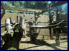 Bioparco Zoo 038