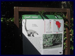 Bioparco Zoo 065