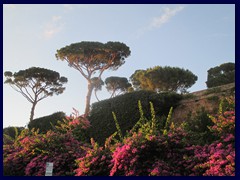 Villa Borghese gardens seen from Villa Medici.