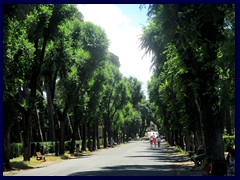 A shady lane at Villa Borghese