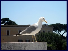 Views of Rome from Monument to Victor Emanuele II 005