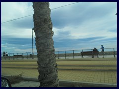 Playa de San Juan 36