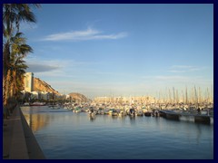 View from city center - marina