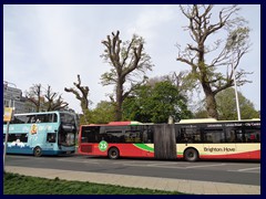 Royal Pavilion and Gardens 13