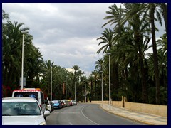 Elche City Centre 08 - Palms on both sides of Carrer Porta de la Morera