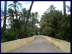 Elche City Centre 09