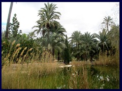 Elche City Centre 12 -   Parc del Filet de Fora,a public park/palm garden