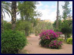 Elche City Centre 13 -   Parc del Filet de Fora, a public park/palm garden