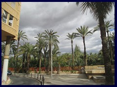 Elche City Centre 15 -  a public park/palm garden