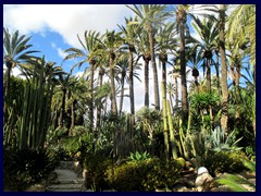 Huerto del Cura 30 - tall palm trees