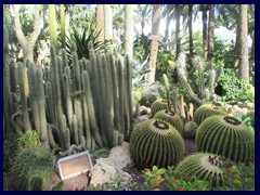 Huerto del Cura 32 - lots of cactuses can also be found in the garden.