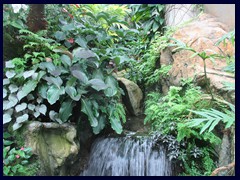 Hong_Kong_Park_50