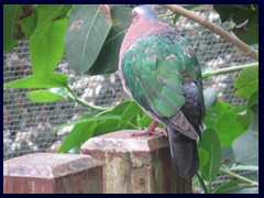 Aviary, Hong Kong Park. 