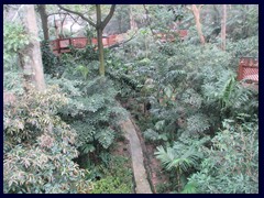 Aviary, Hong Kong Park. 