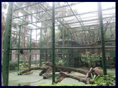 Hong_Kong_Zoo_10