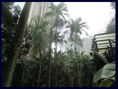 Hong_Kong_Zoo_24