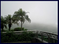 Very foggy at the peak, a common weather in HK!