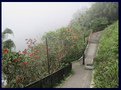 The trails of Victoria Peak