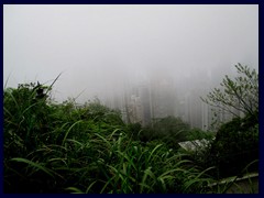 The trails of Victoria Peak