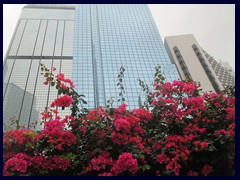 Nice garden near Central Plaza, Wan Chai 