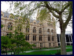 Natural History Museum, South Kensington