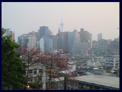 Central Macau with Macau Tower in the background.