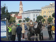 Horse carriage at the Town Hall Square.